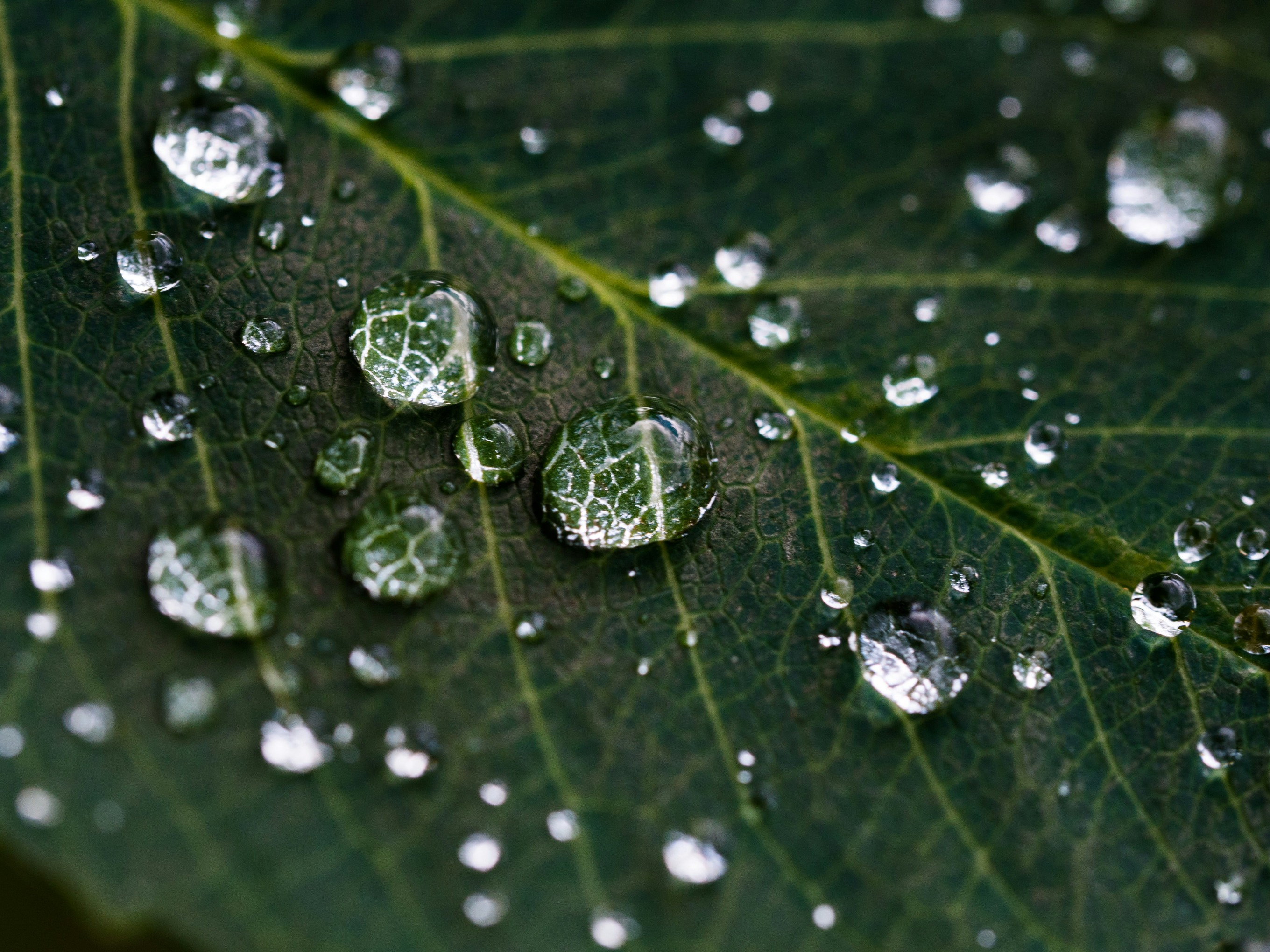 Imagen de gotas de agua